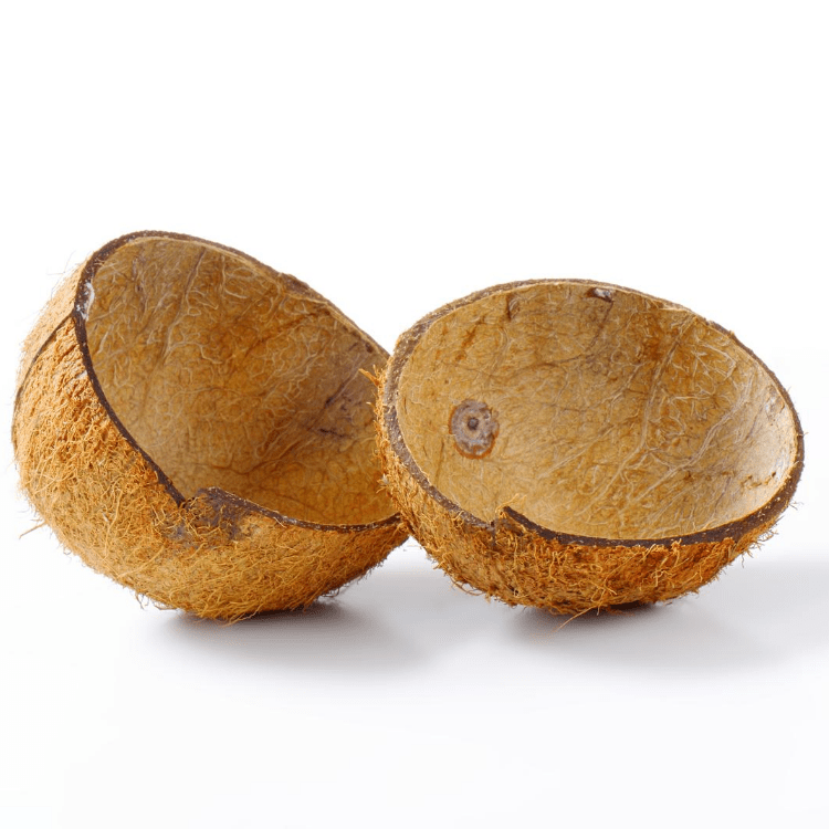Plantation Products & Coconut Derivatives